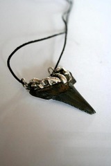 Killikus® Fotographie